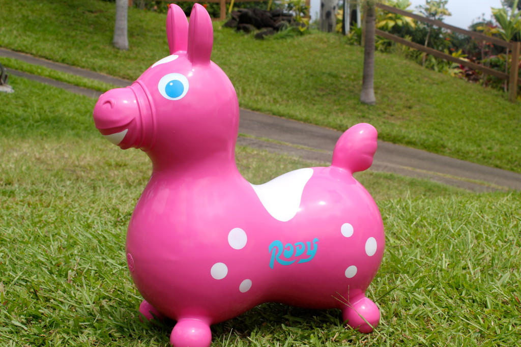 Rody best sale bouncy horse