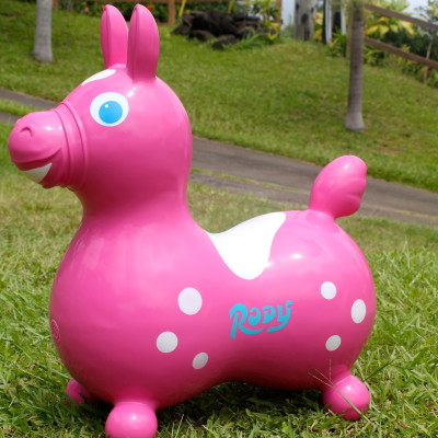 Rody Horse Review & GIVEAWAY!