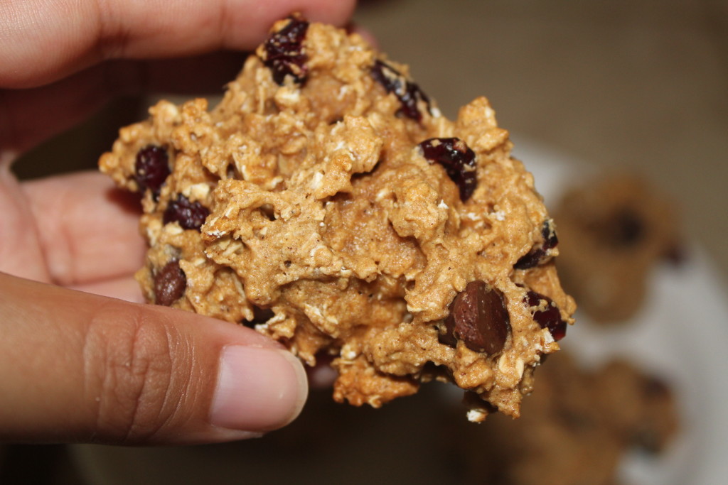 Healthy Whole Wheat Oatmeal Chocolate Chip Cookie Recipe Livin' the