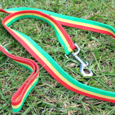 Review: Personalized Dog Collar and Rasta Leash from Hot Dog Collars