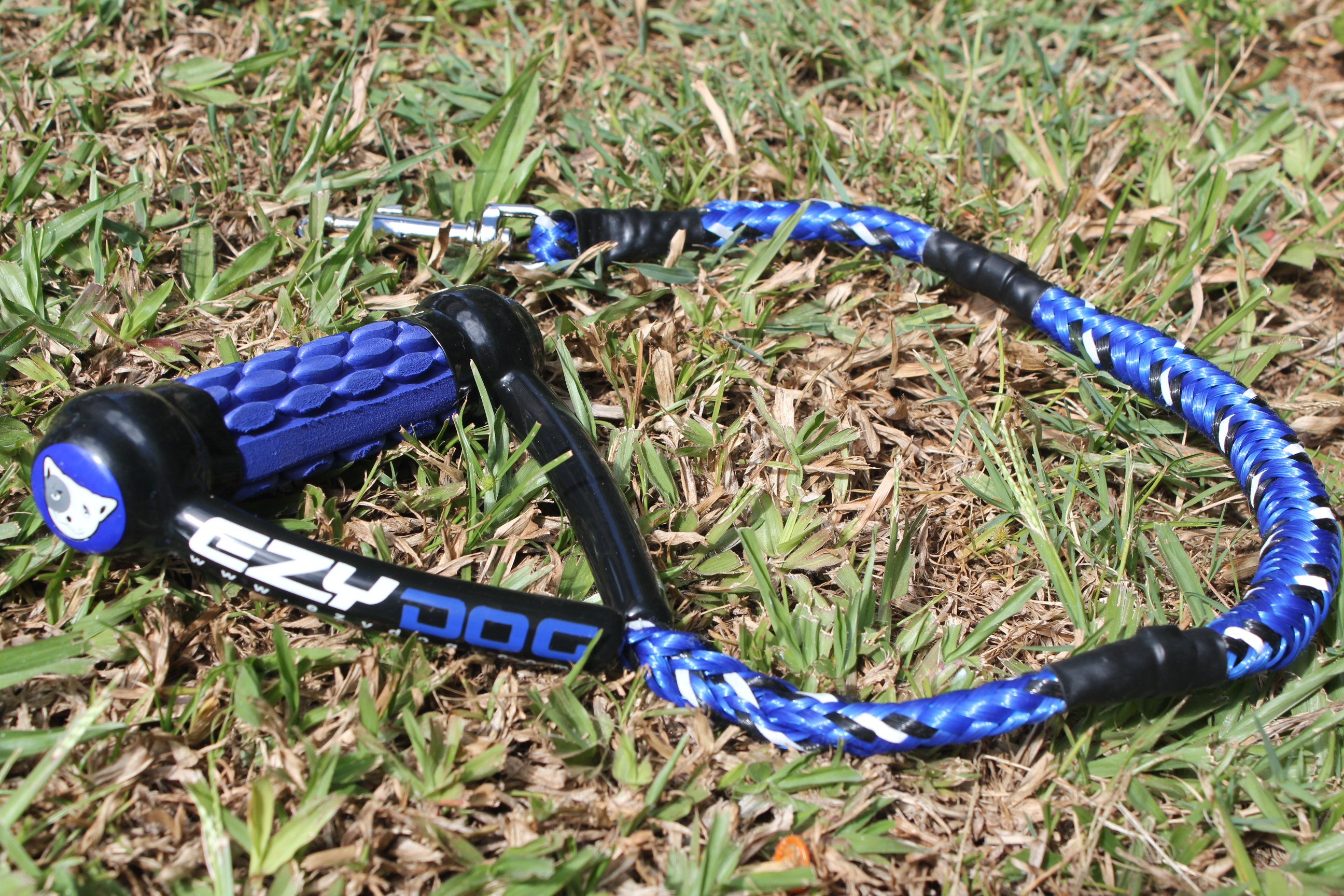 Dog leash 2012 online sale