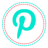 pin100