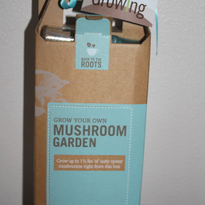 Back To The Roots Grow-Your-Own Mushroom Garden Review *2012 Holiday Gift Guide*