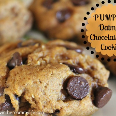 Pumpkin Oatmeal Chocolate Chip Cookies
