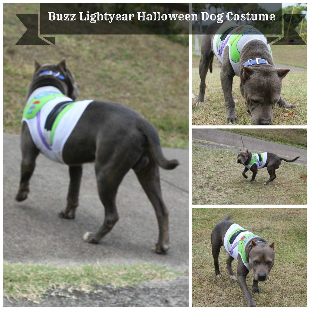 buzz lightyear dog costume