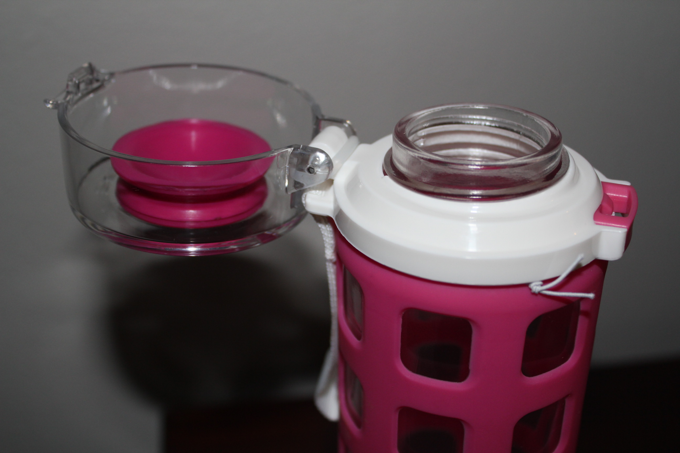 Ello Syndicate BPA-Free Glass Water Bottle with Flip Lid, 20 oz