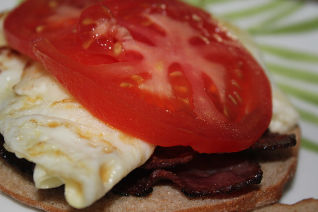 tomato sandwich egg white turkey bacon