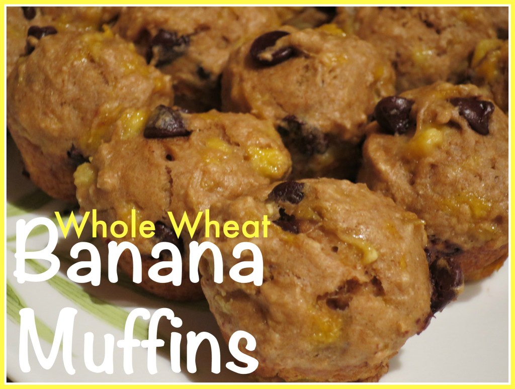 whole wheat chocolate chip banana muffins