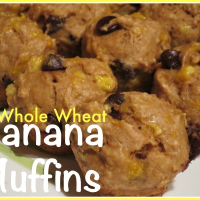 Whole Wheat Chocolate Chip Banana Muffins