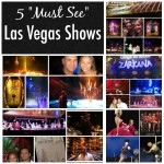 Top 5 Shows to see in Las Vegas