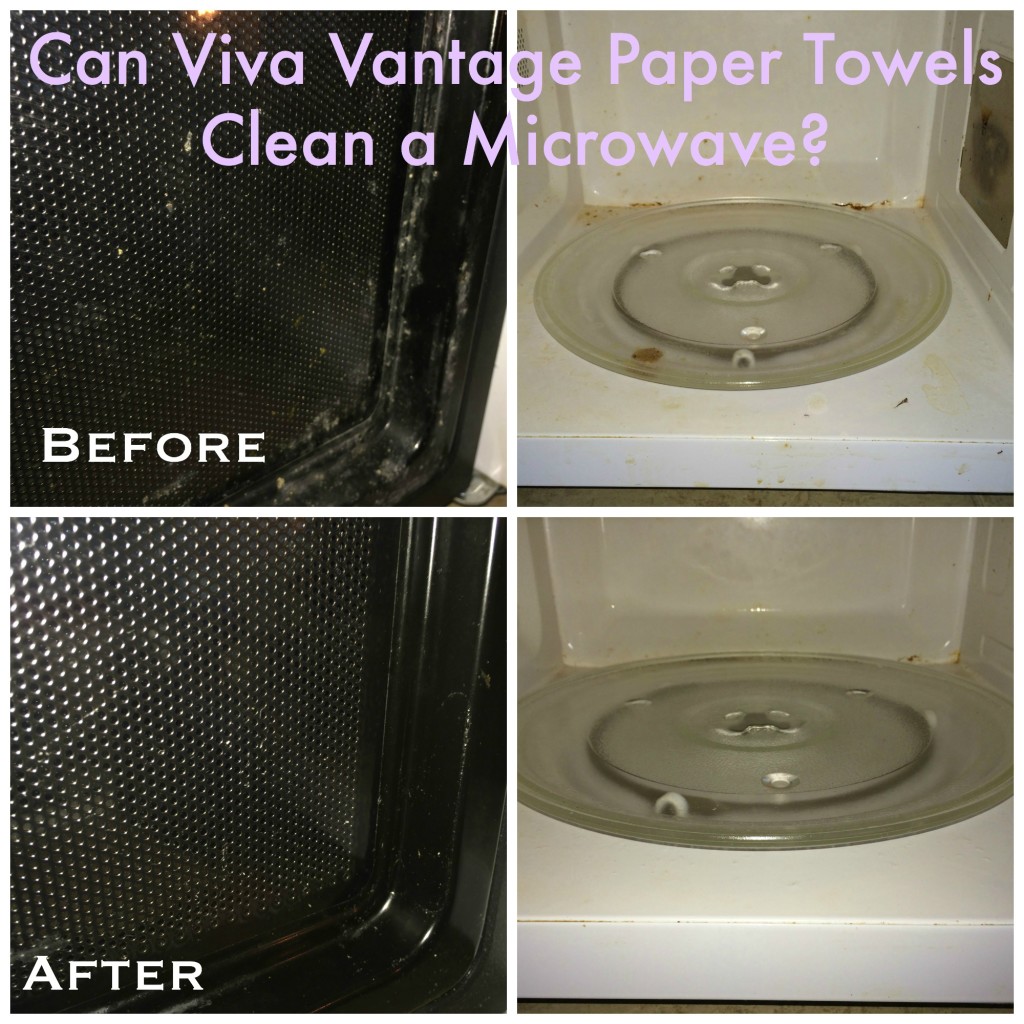 viva vantage microwave