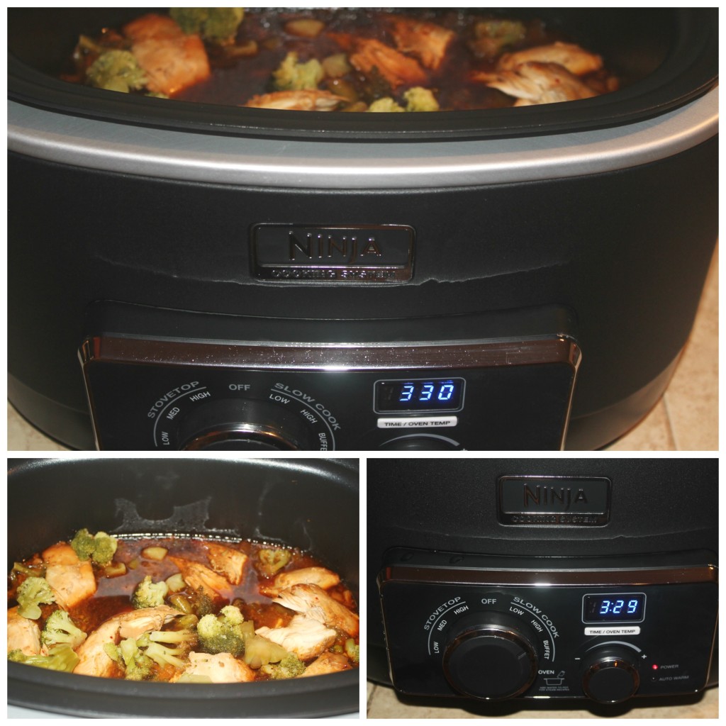 teri chicken ninja cooking system