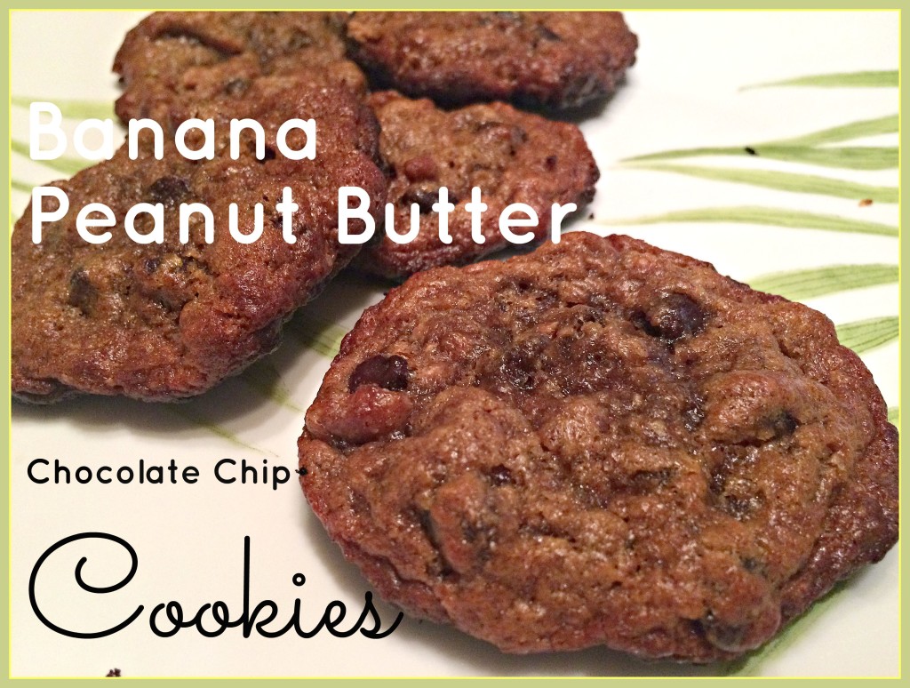 Flourless Banana Peanut Butter Chocolate Chip Cookies