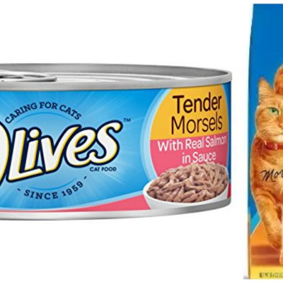 9Lives’ Morris the Cat Helps Cats and Humans Make the Most out of Playtime + Win a Box of 9Lives Goodies!