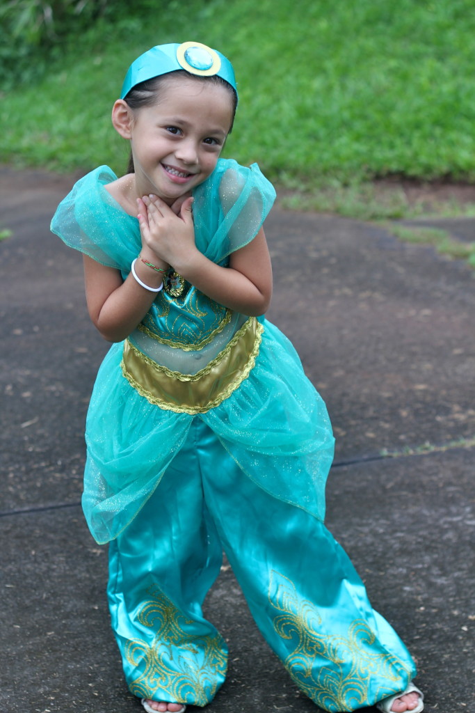 Princess Jasmine Costume