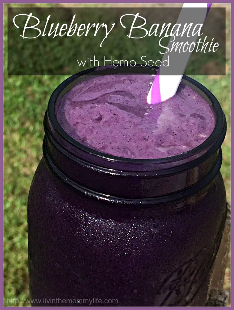 blueberry banana smoothie with hemp seed