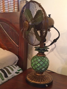 pineapple nightlight fan