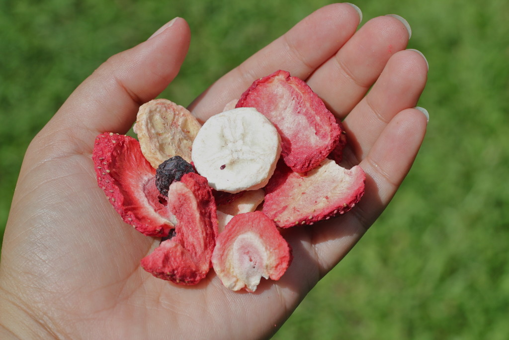 freeze dried mixed fruit crunchies