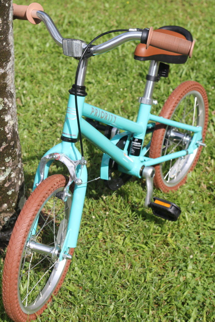 turquoise kids priority bike