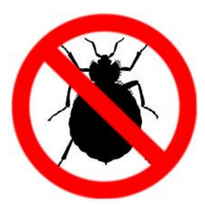 Helpful Tips for Dealing with Bedbugs