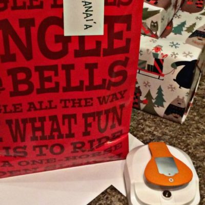 DIY Gift Tags with the Fiskars Tag Maker Punch