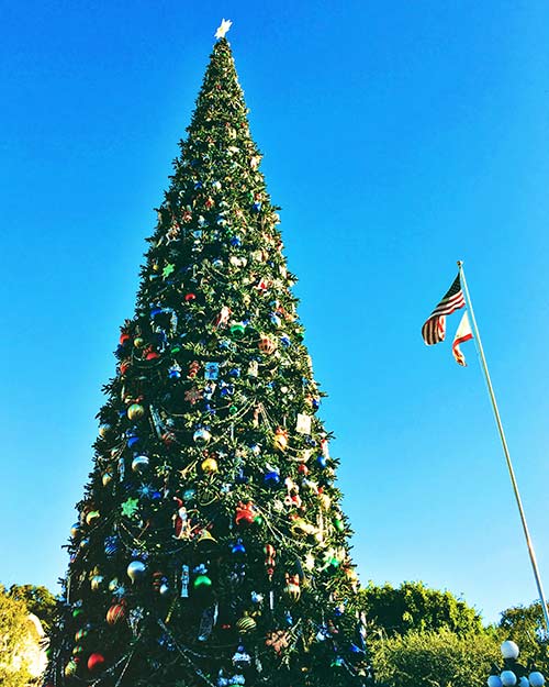 holidays-at-disneyland-christmas-tree